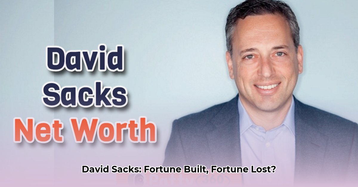 david-sacks-net-worth